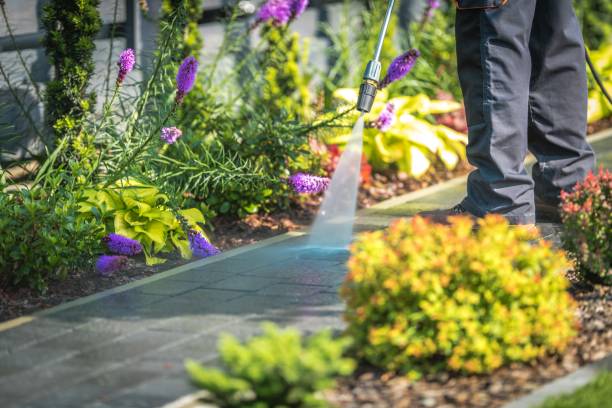 Reliable Mansfield, PA Pressure Washing Services Solutions